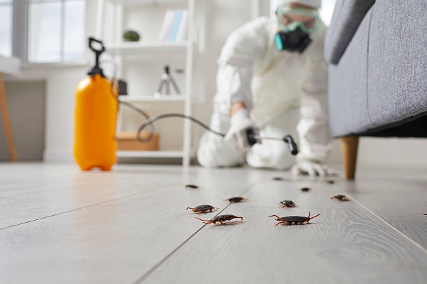 Commercial Kitchen Cockroach Control in Ambridge